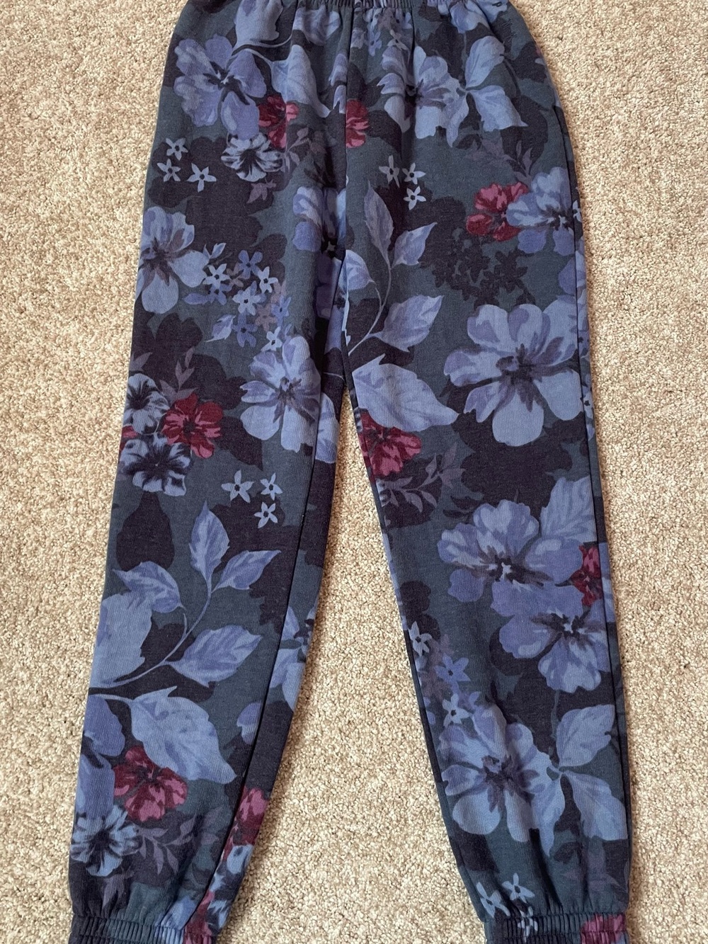 Victoria’s Secret PINK Campus Jogger Floral Sweatpants XS NWT